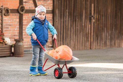 Rolly Toys taczka metalowa 2 koła szara rollySommer zdjęcie 3