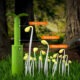 Stacja uprawy roślin ScienceCan Top Bright miniaturka 7